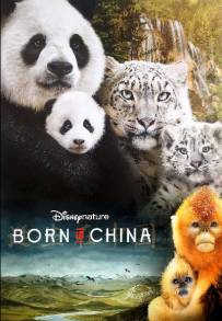 Born in China (2016)