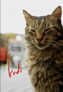 Kedi - La città dei gatti (2016)