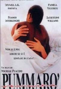 Pummarò (1990)