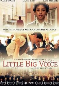La piccola grande voce (2015)