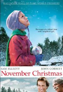 Miracolo a novembre (2011)