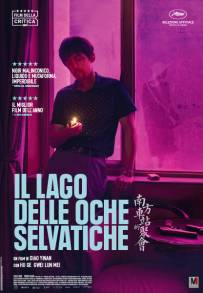 Il lago delle oche selvatiche (2019)