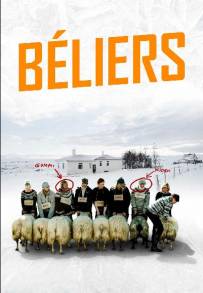 Rams - Storia di due fratelli e otto pecore (2015)