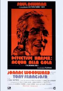 Detective Harper: acqua alla gola (1975)
