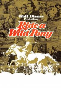 A cavallo di un pony selvaggio (1975)
