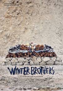 Winter Brothers (2017)