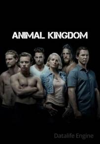 Animal Kingdom (2016 - In Lavorazione)