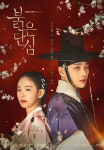 Bloody Heart (2022 - In Lavorazione)