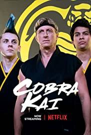 Cobra Kai (2018 - In Lavorazione)