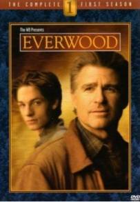 Everwood (2002 - 2006)