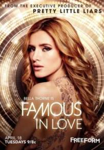 Famous in Love (2017 - 2018)