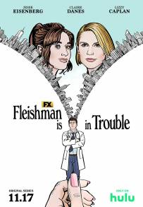 Fleishman a pezzi (2022 - In Lavorazione)