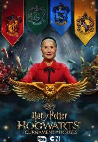 Harry Potter: Il torneo delle case Hogwarts (2021 - In Lavorazione)