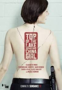 Il mistero del lago (2013 - 2017)