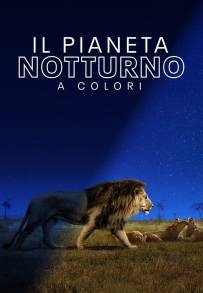 Il pianeta notturno a colori (2020 -)