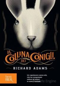 La Collina dei Conigli (2018 - In Lavorazione)