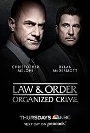 Law and Order: Organized Crime (2021 - In Lavorazione)