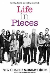 Life in Pieces (2015 - 2019)