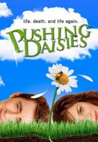 Pushing Daisies (2007 - Cancellata)