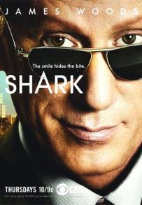 Shark - Giustizia a tutti i costi (2006 - 2008)