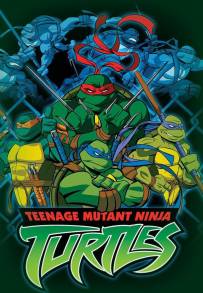 Tartarughe Ninja (2003) (2003 - 2010)