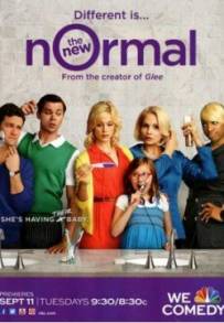 The New Normal (2012 - 2013)