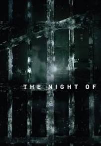 The Night Of (2016)