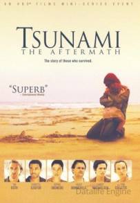 Tsunami - Il giorno dopo (2006 - In Lavorazione)