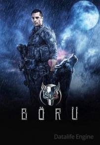 Wolf (2018 - In Lavorazione)