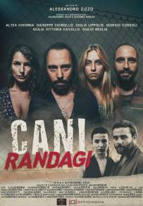 Cani randagi (2023)