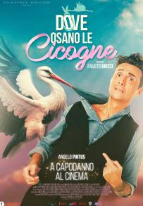 Dove osano le cicogne (2025)