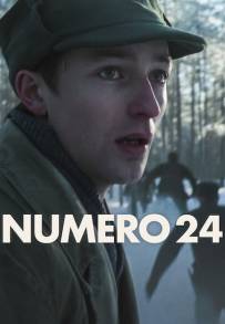 Numero 24 (2024)