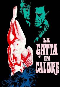 La gatta in calore (1972)