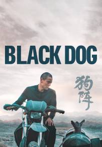 Black Dog (2024)