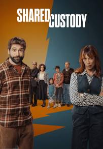 Shared Custody (2025 - In Lavorazione)