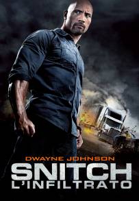 Snitch - L'infiltrato (2013)