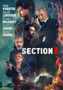 Sezione 8 (2022)