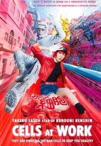 Cells at Work! - Lavori in corpo (2024)