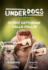 Underdogs (2025)