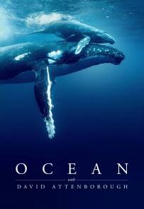 I Segreti Dell’oceano con David Attenborough (2025)