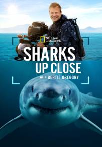 Sharks Up Close with Bertie Gregory (2025)