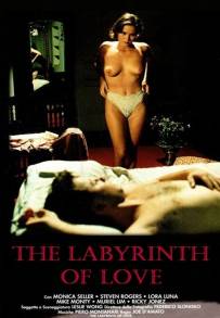 Il labirinto dei sensi (1994)