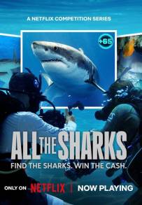 All the Sharks - In cerca di squali (2025)