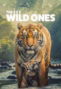 The Wild Ones (2025)