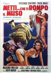 Metti... che ti rompo il muso (1973)