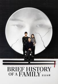 Breve storia di una famiglia (2024)