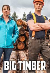 Big Timber - I taglialegna (2020)