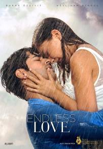 Endless Love (2015)