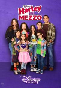 Harley in mezzo (2016)