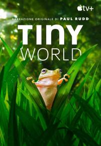 Tiny World (2020)